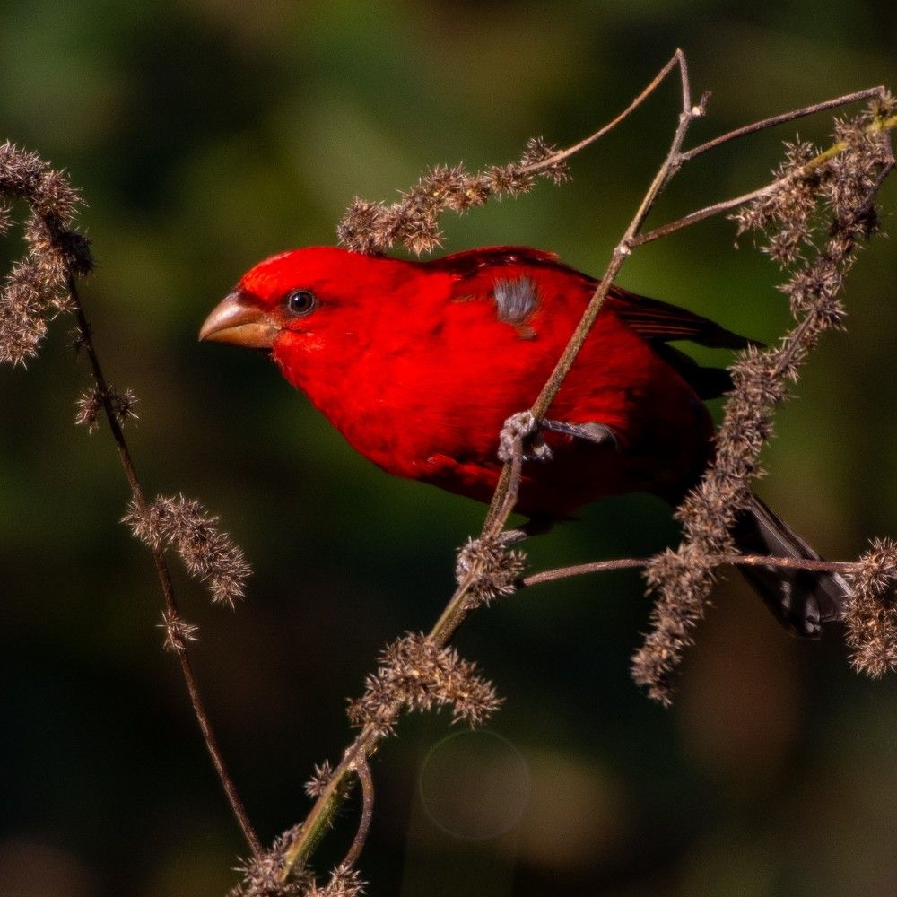 Photograph by Soumya Chandan Panda