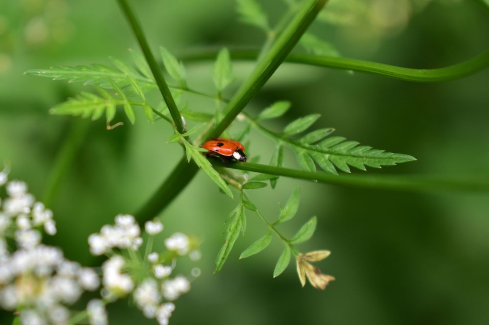 Photograph by Надежда Котовская