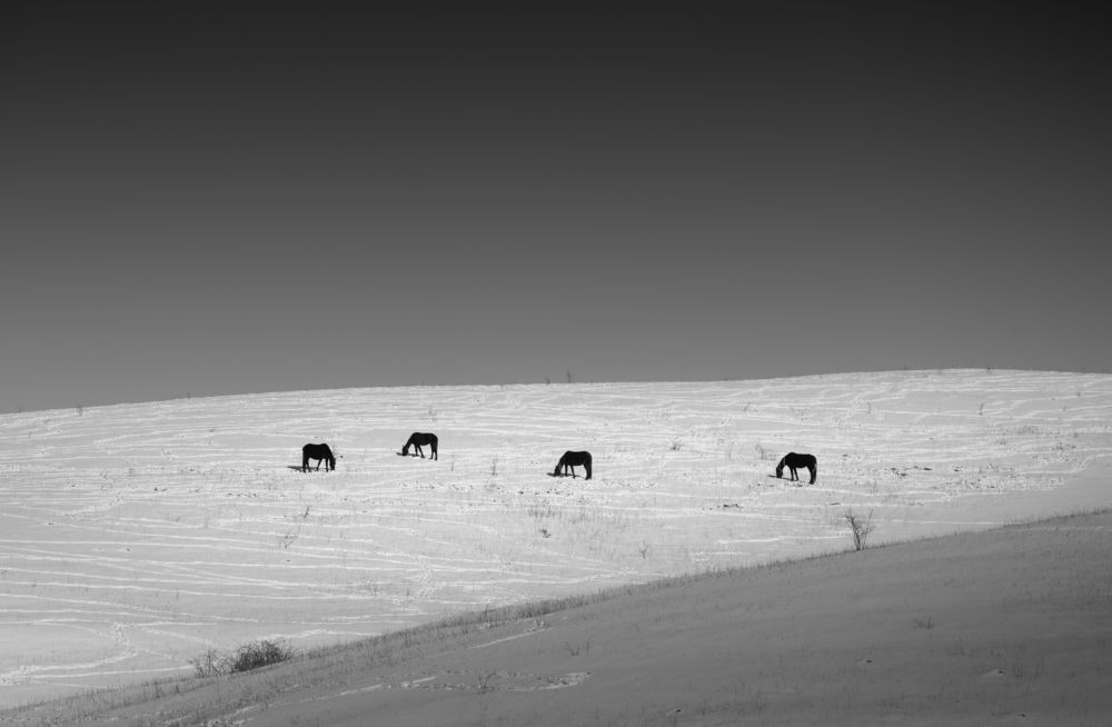 Photograph by Александр Орнатский