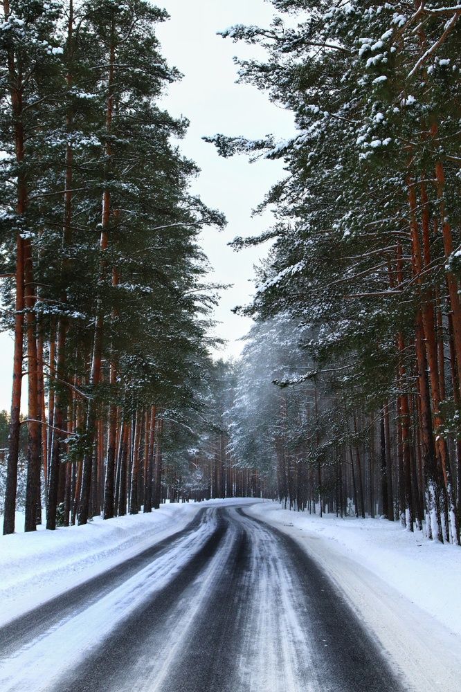 Photograph by Olga Asson