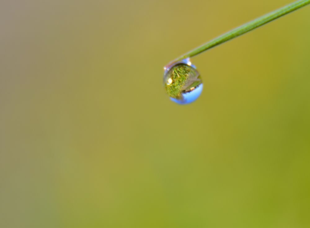 Photograph by Karolina Navodnik