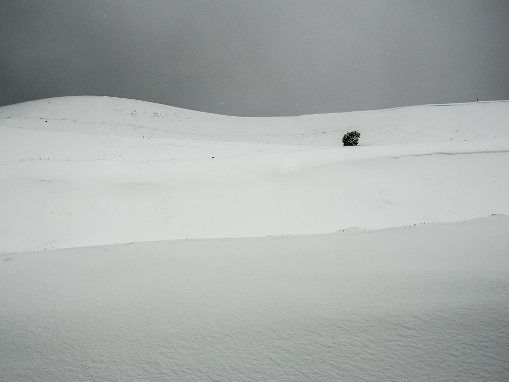 Photograph by Adam Lorenc