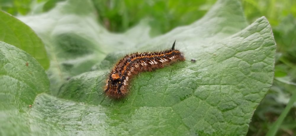 Photograph by Фёдор Зубчик