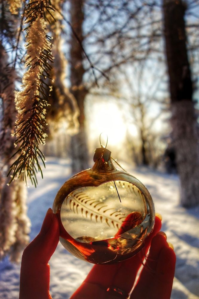 Фотография автора Марина