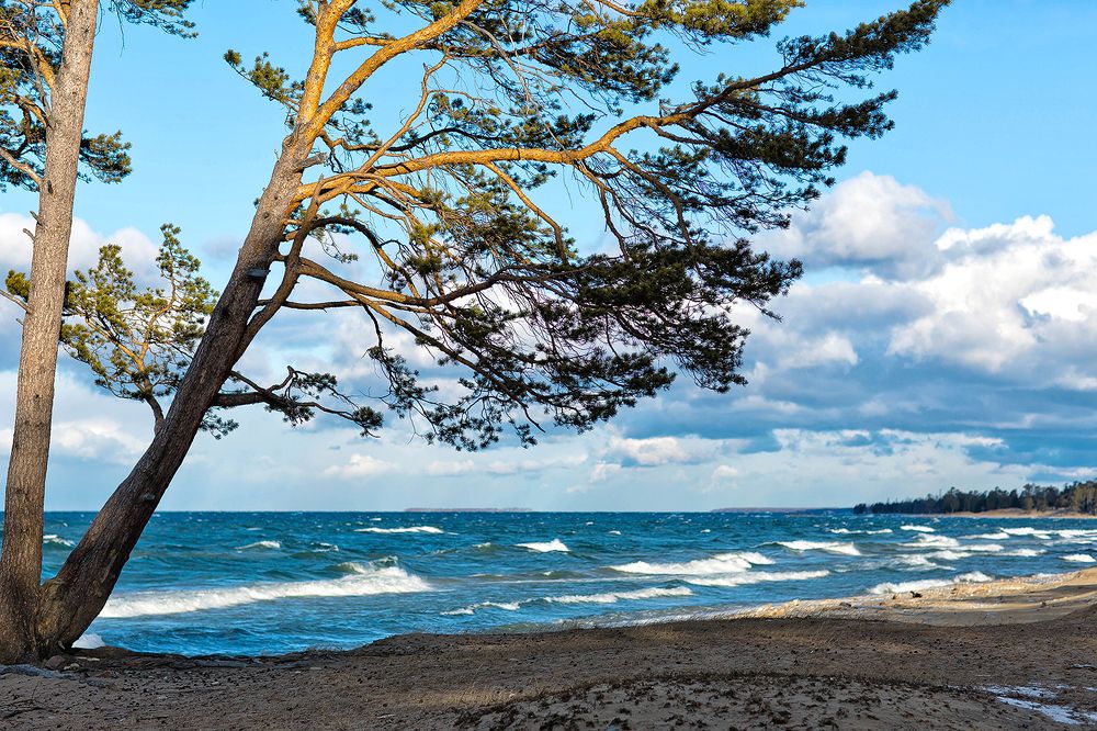 Photograph by Максимова Ольга Васильевна