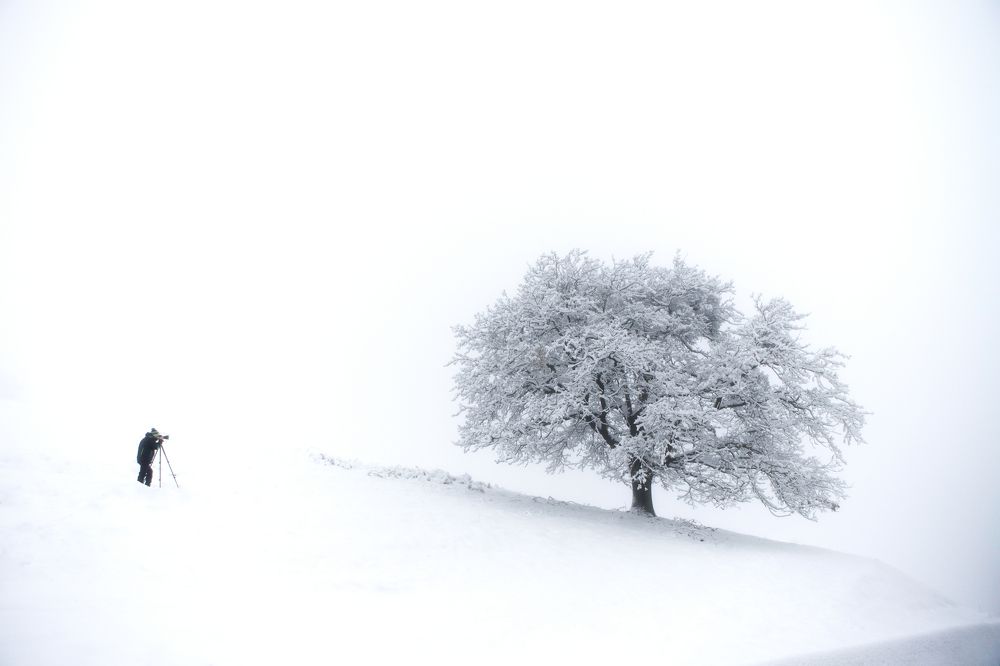 Photograph by Mihai Romeo Bogdan