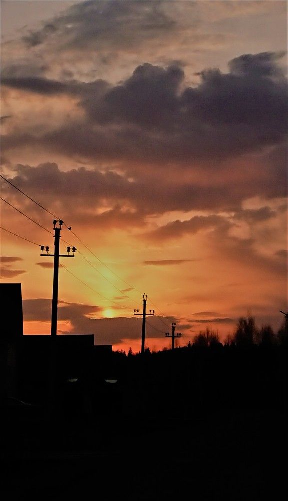 Photo #7112746