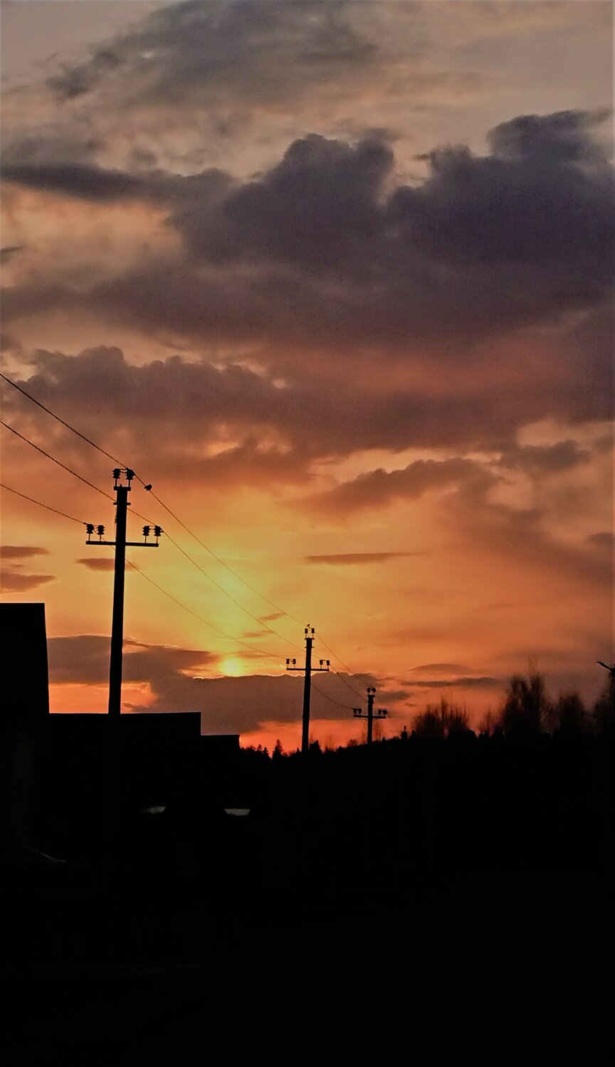 Photo #7112746