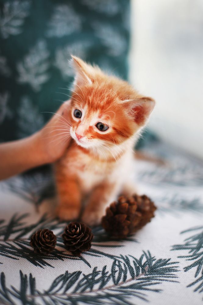 Photograph by Анастасия Ярмак