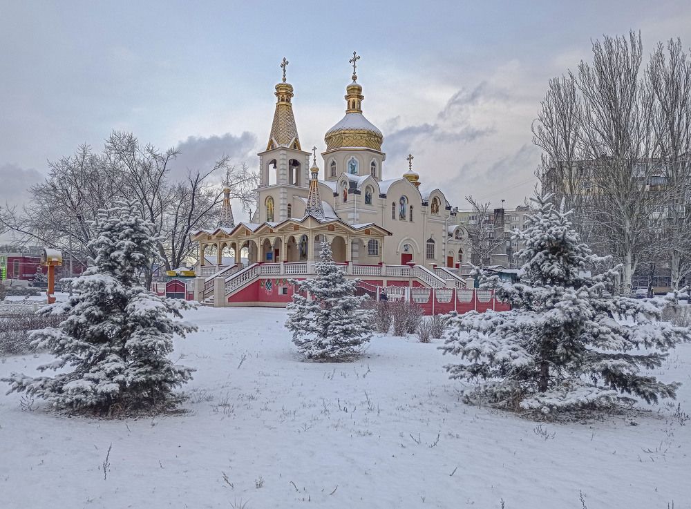 Фотография автора Елена Панасюк