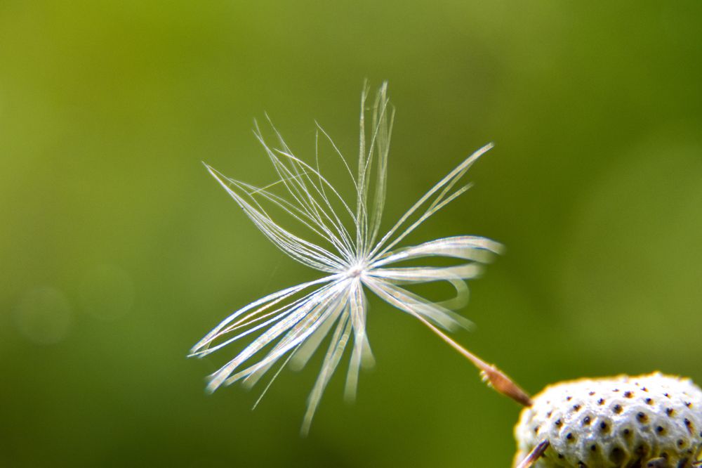 Photograph by Karolina Navodnik