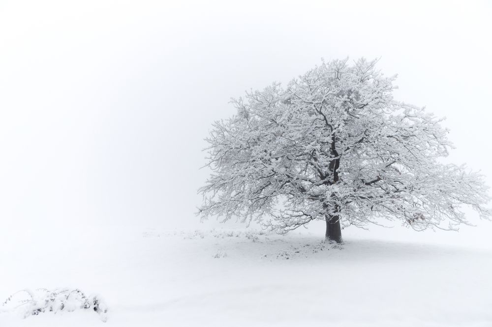 Photograph by Mihai Romeo Bogdan