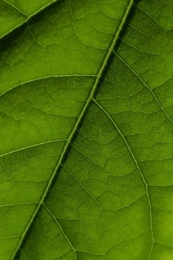 Photograph by Кадырова Анастасия