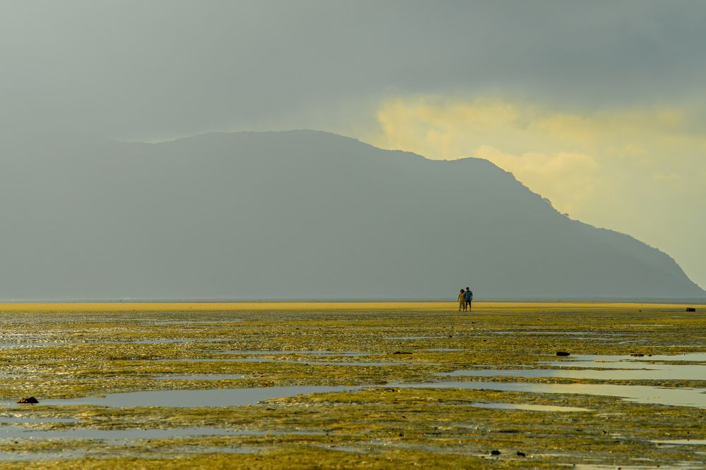 Фотография автора Đang Hong