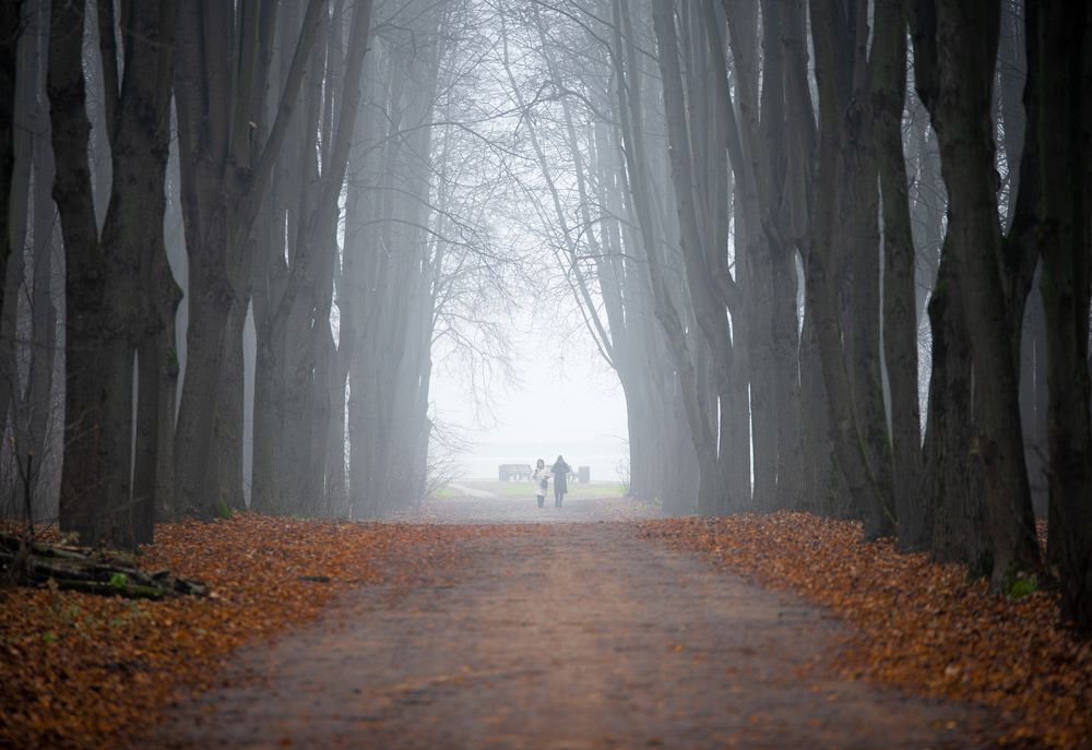 Photograph by Артём Тюменцев