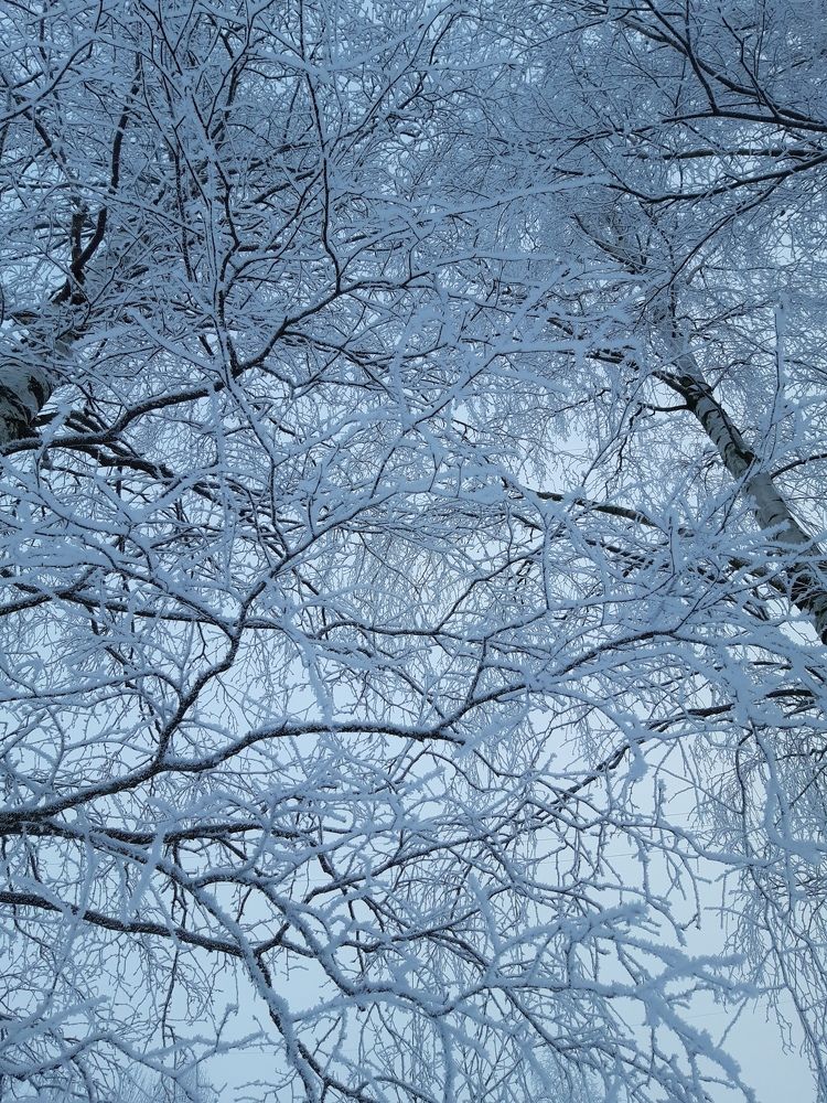 Photograph by Надежда Аксенова