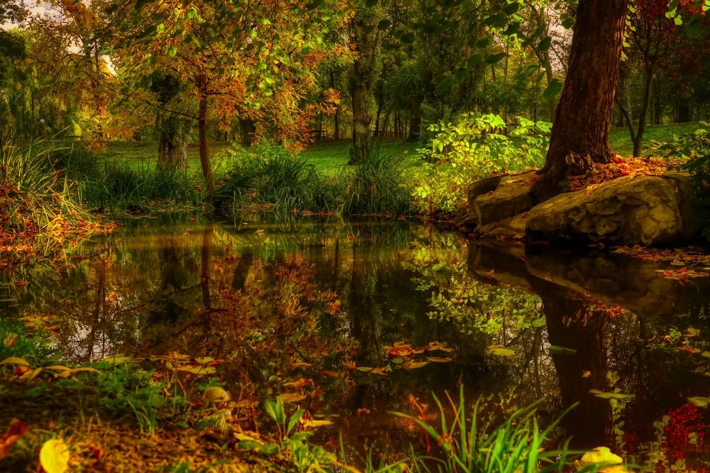 Photograph by Dragos Ivanel