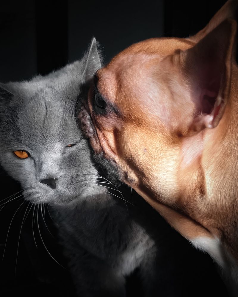 Photograph by Мотина Екатерина