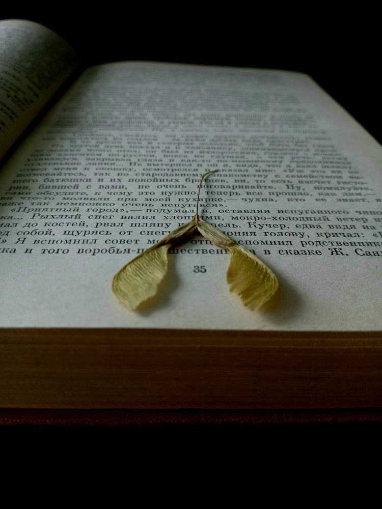 Photograph by Зоя