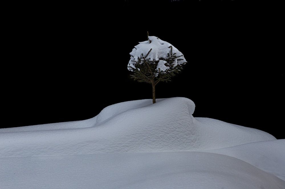 Фотография автора Черновол Валентин