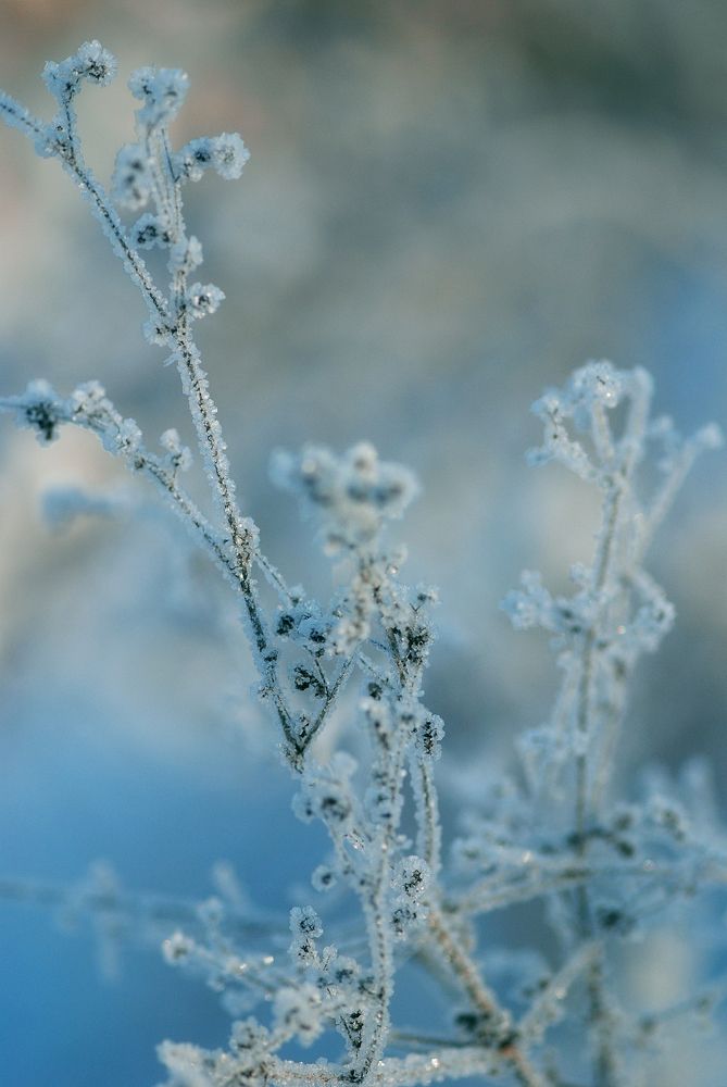 Photograph by Екатерна