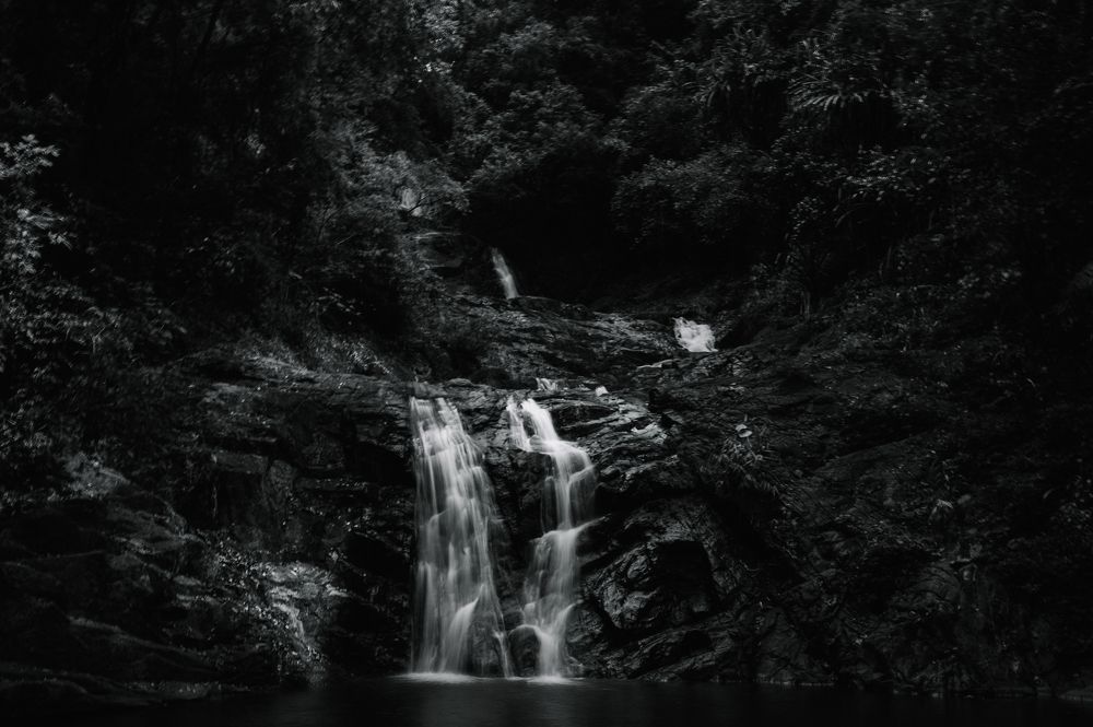 Photograph by Вероника Стома