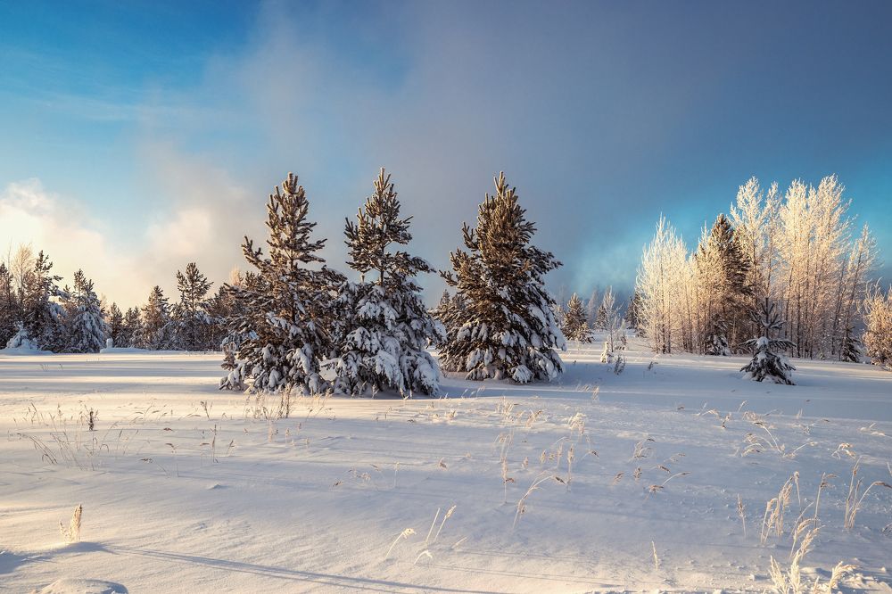 Photograph by Вадим Видяйкин