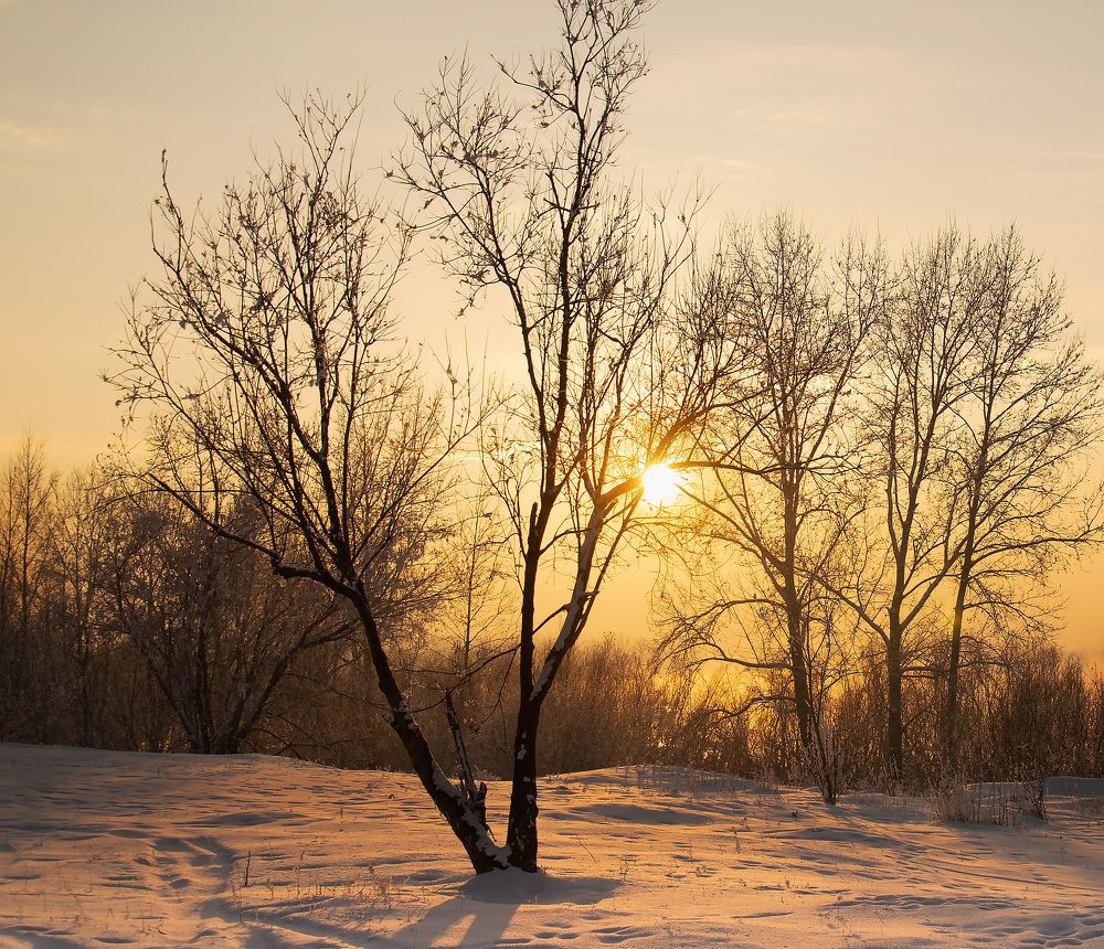 Photograph by Оксана Батракова