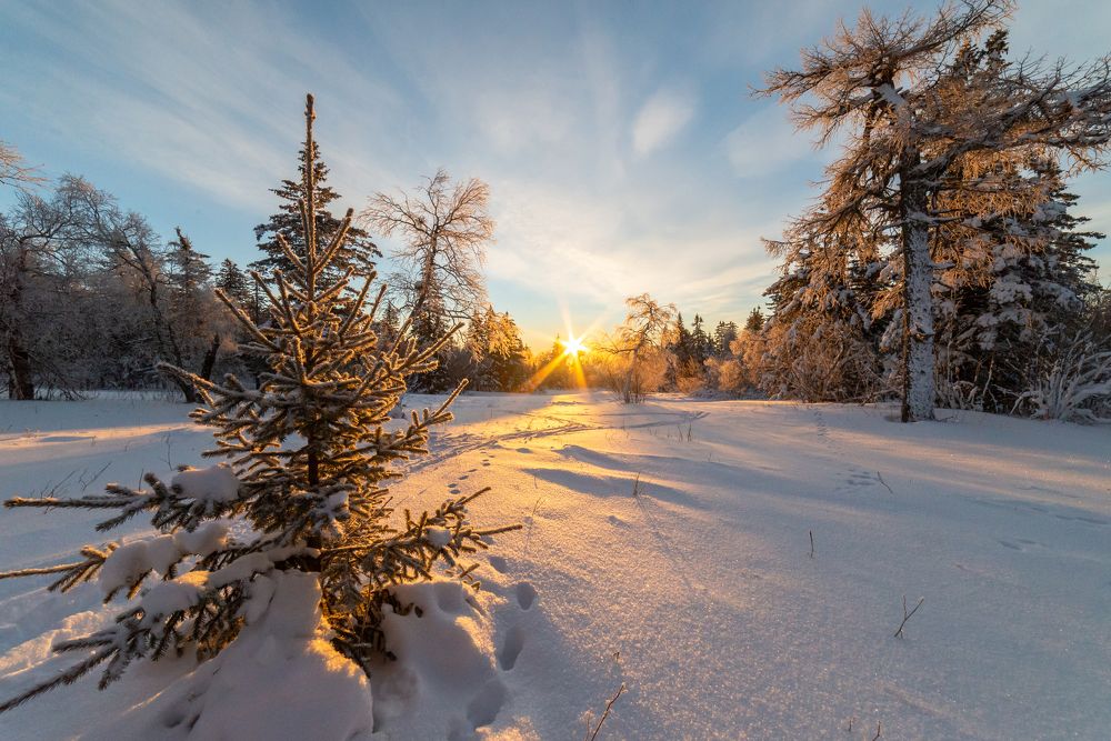 Photograph by Константин Степанов