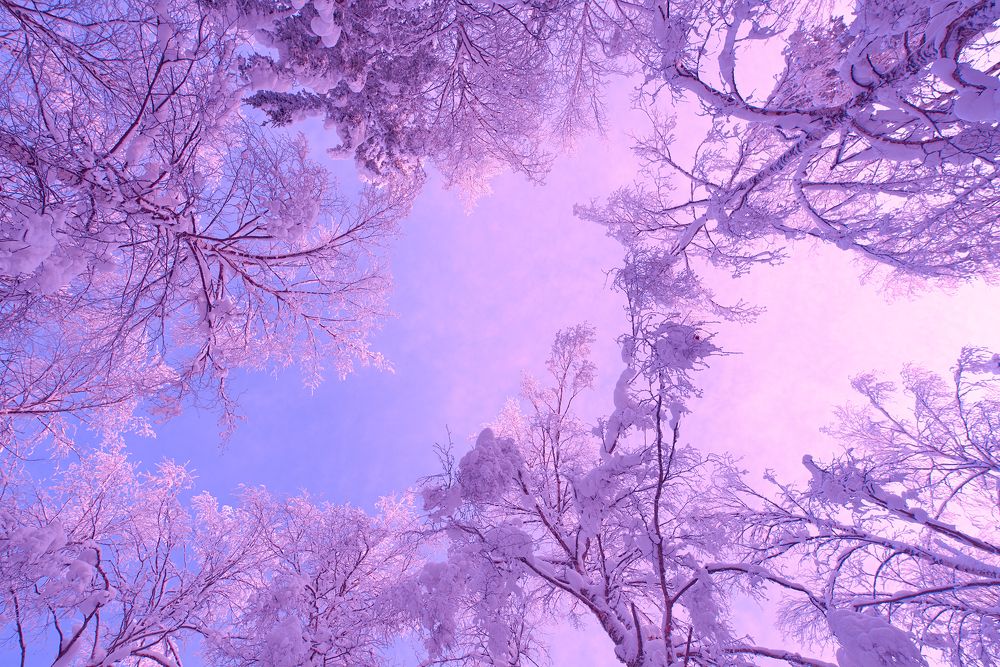 Photograph by Сергей Скоробогатов