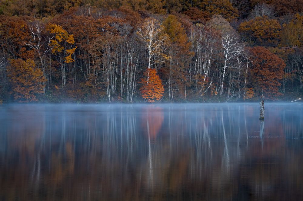 Photograph by Hiroike Masahiro