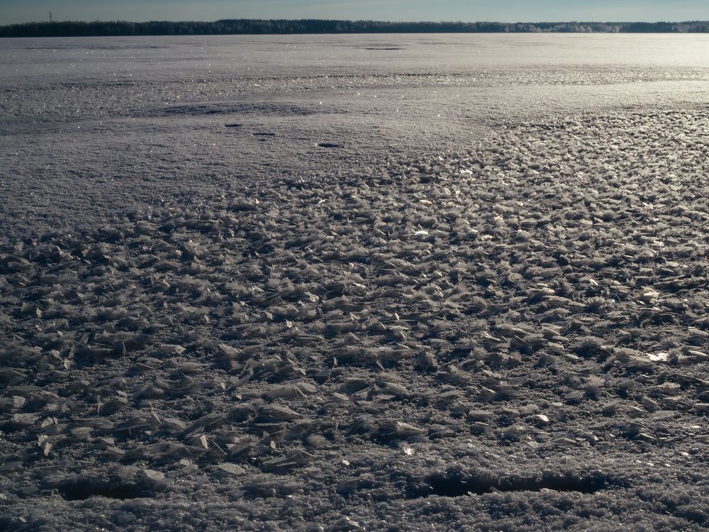 Photograph by Городничева Елена