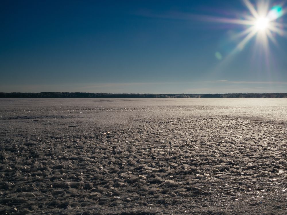 Photograph by Городничева Елена