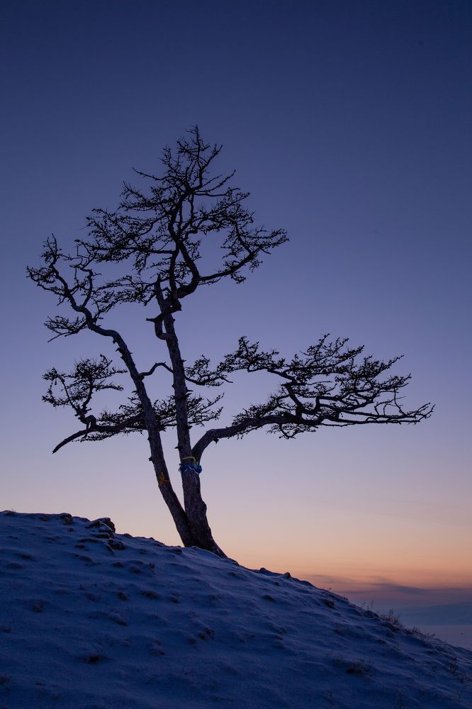 Photograph by Татьяна Глухова