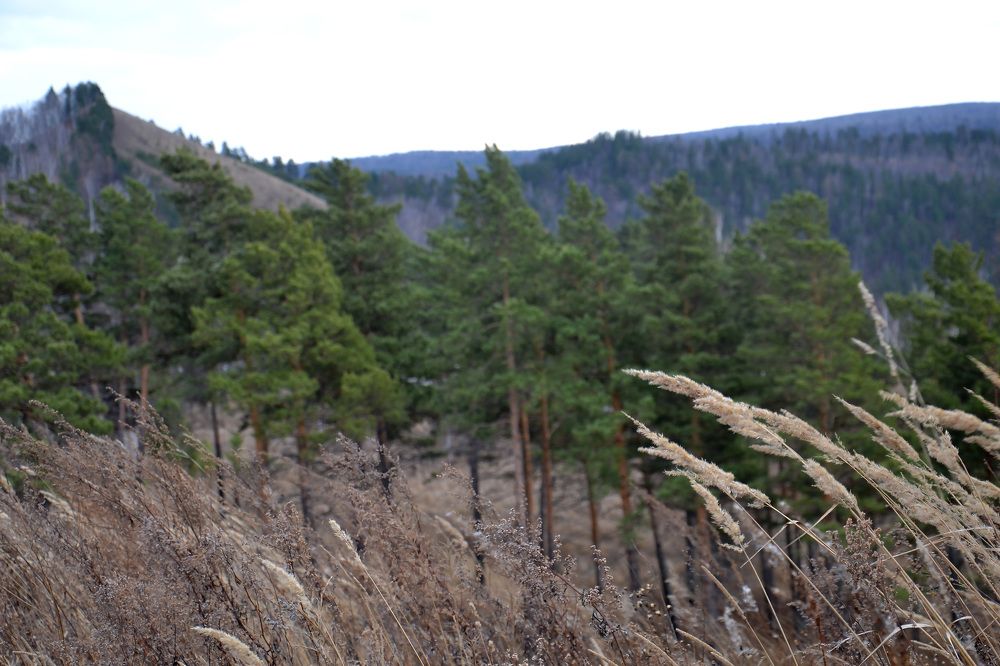 Photograph by Оксана Батракова