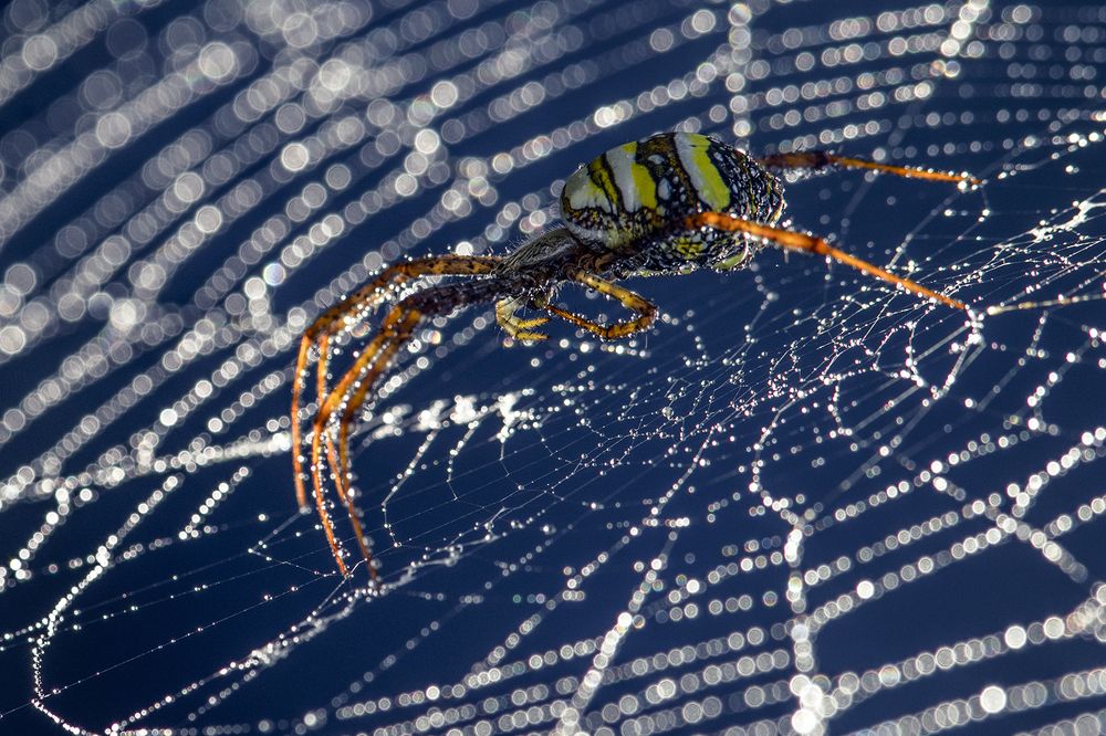 Photograph by QuocToan Nguyen