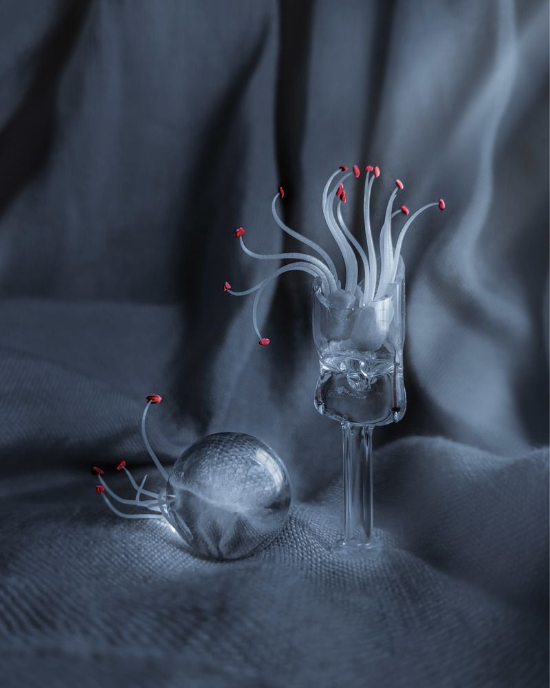 Photograph by Татьяна Логвинчук