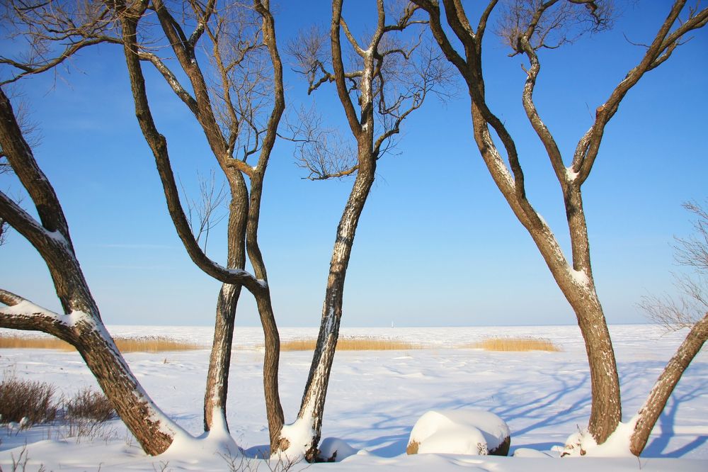 Photograph by Людмила Травина