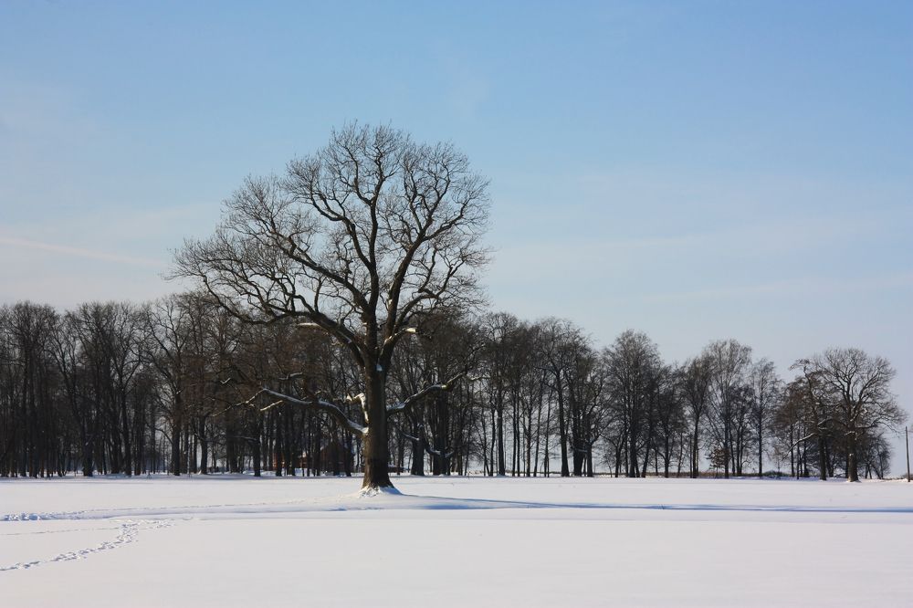 Photograph by Людмила Травина