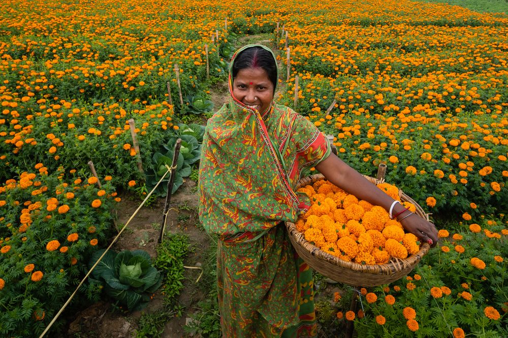 A Marigold Seller