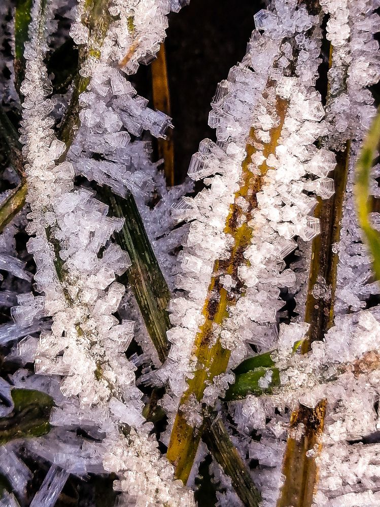 Photograph by Диана Грэске