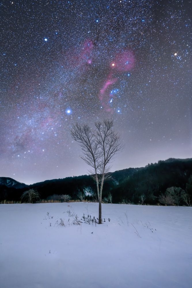 Photograph by HARLOCK