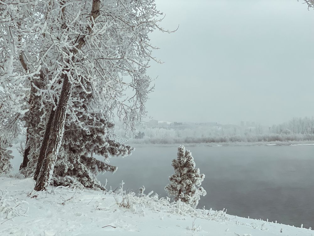 Photograph by Оксана Алейникова