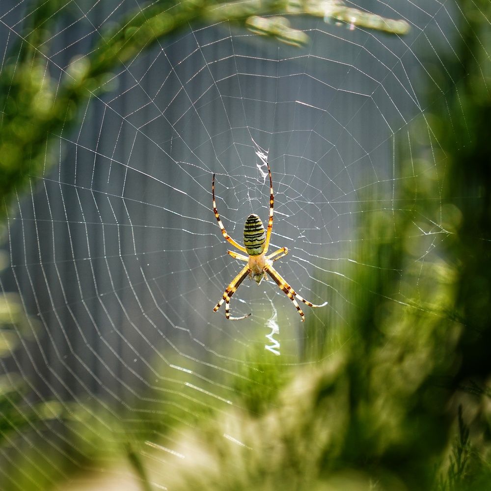 Photograph by Игорь Маслов