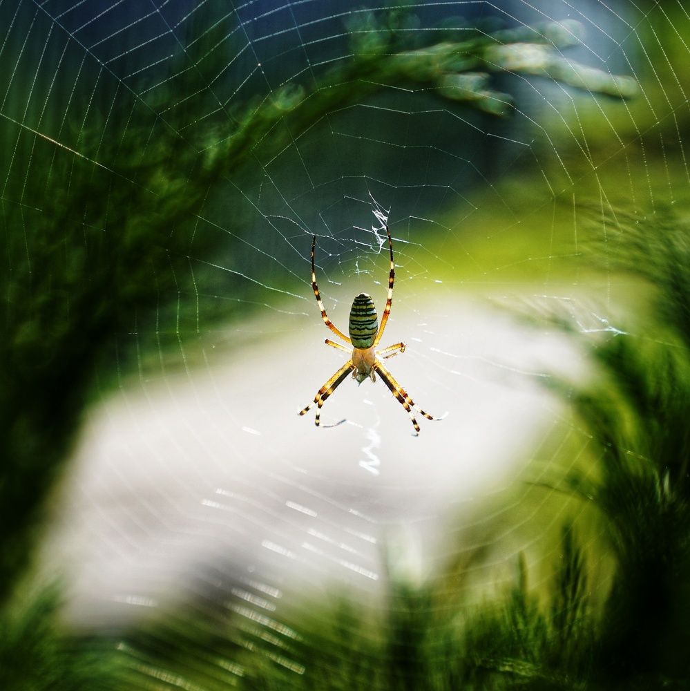 Photograph by Игорь Маслов