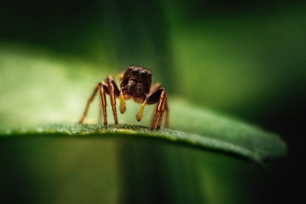 Photograph by Мария Бузыцкая