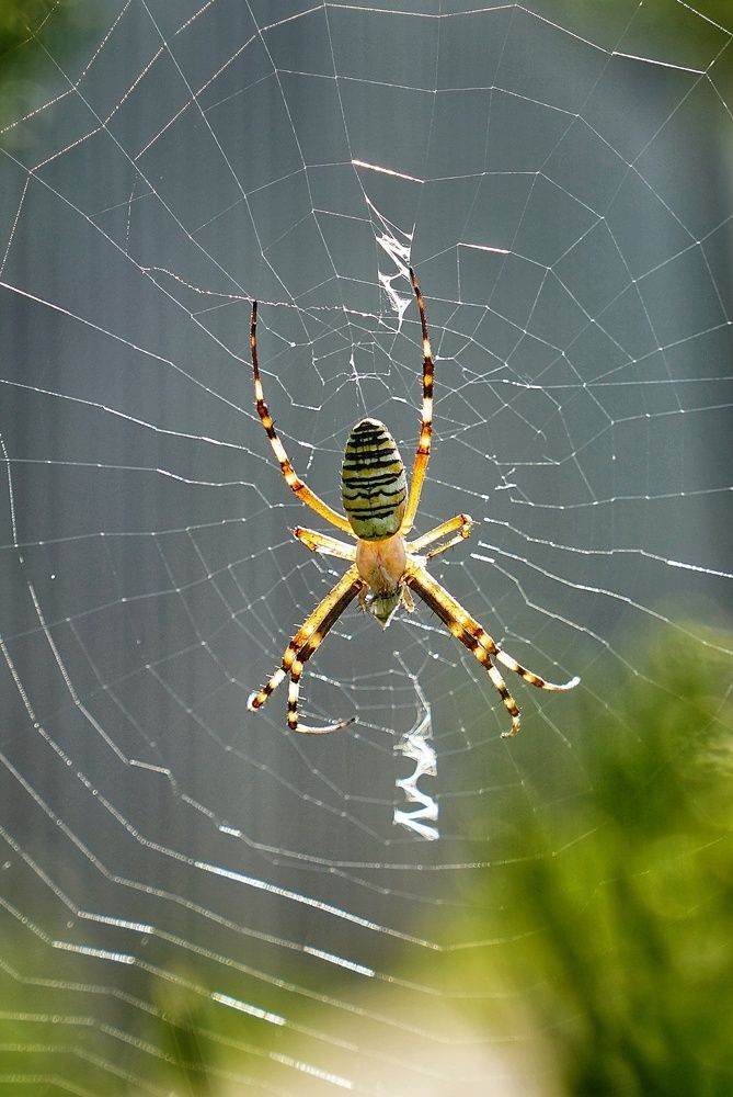 Photograph by Игорь Маслов