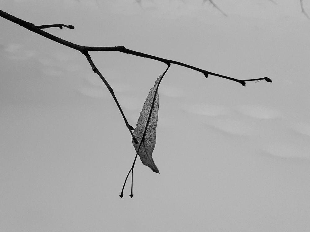 Photograph by Евгения Ульянова