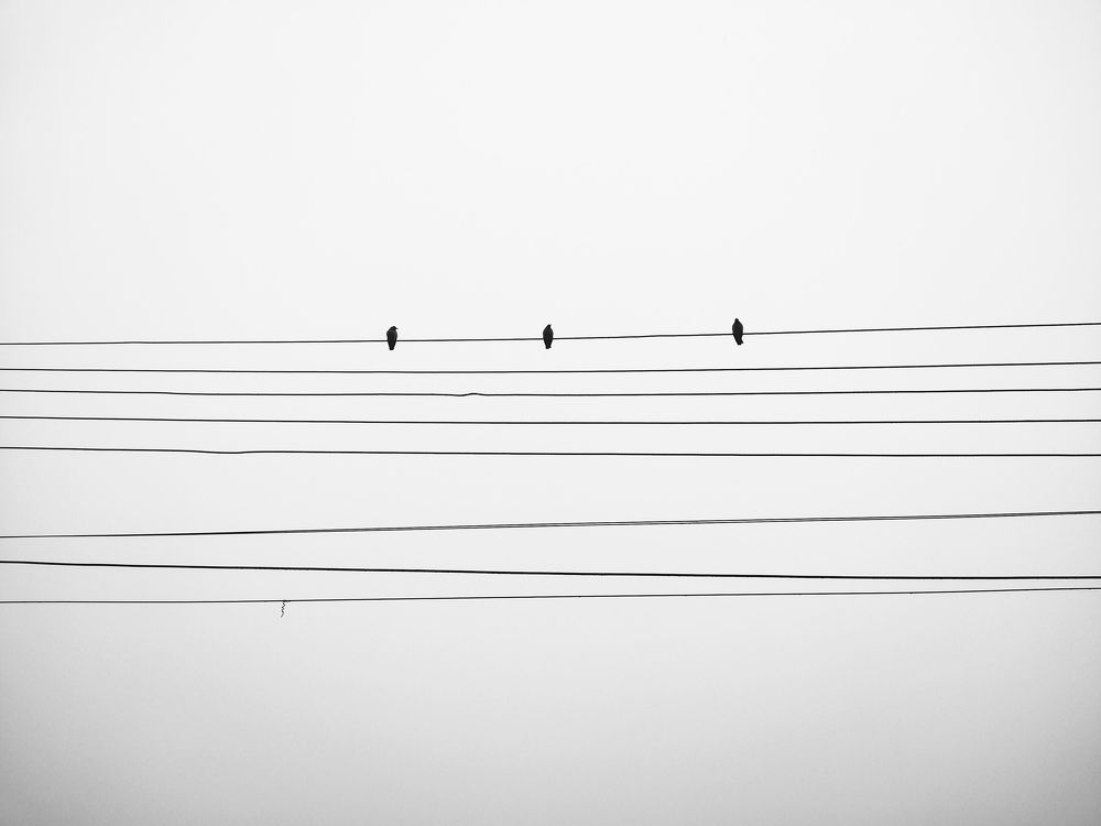 Photograph by Pramit Das