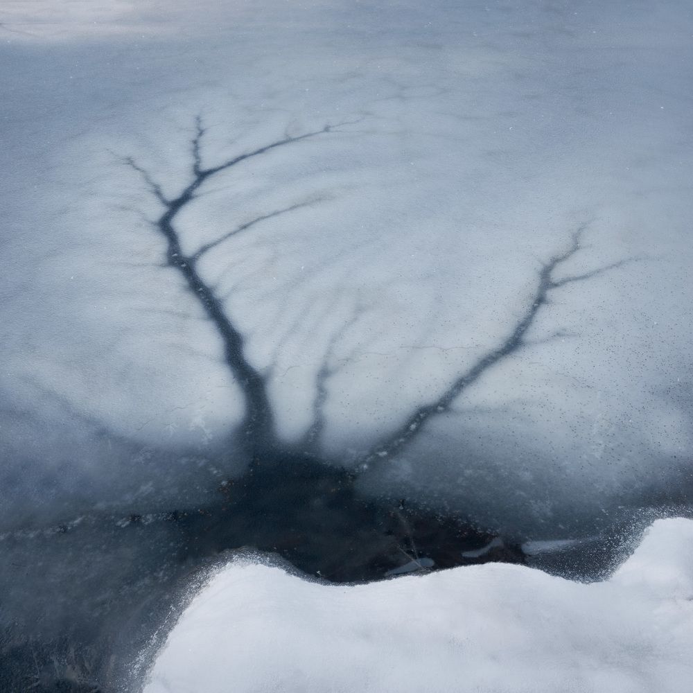 Фотография автора Дмитрий Медянцев
